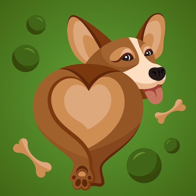 Vector cute corgi dog showing tongue