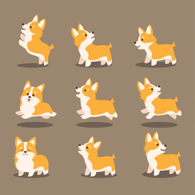 Vector cute corgi dog vector illustration set