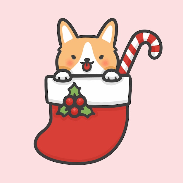 Cute corgi in sock christmas hand drawn cartoon style