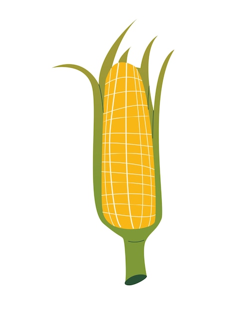 cute corn isolated on white background trendy modern style healthy organic vegan food