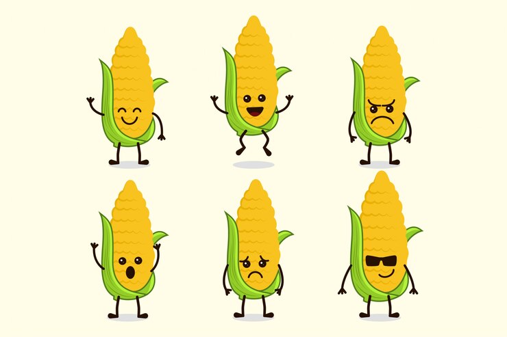 Vector cute corn vegetable character isolated in multiple expressions