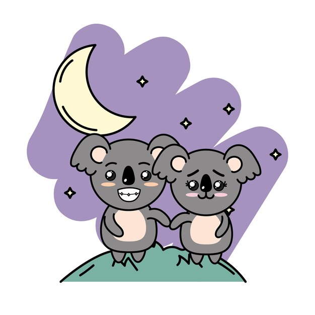 cute couple koala in the mountain with moon and stars