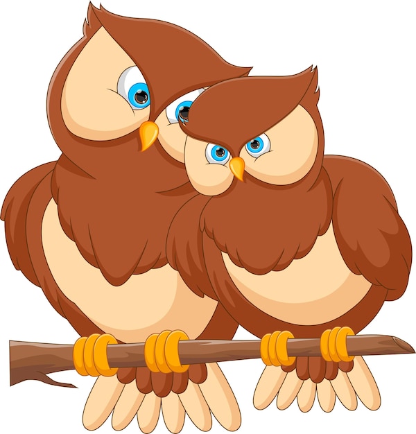 cute couple owl cartoon on white background