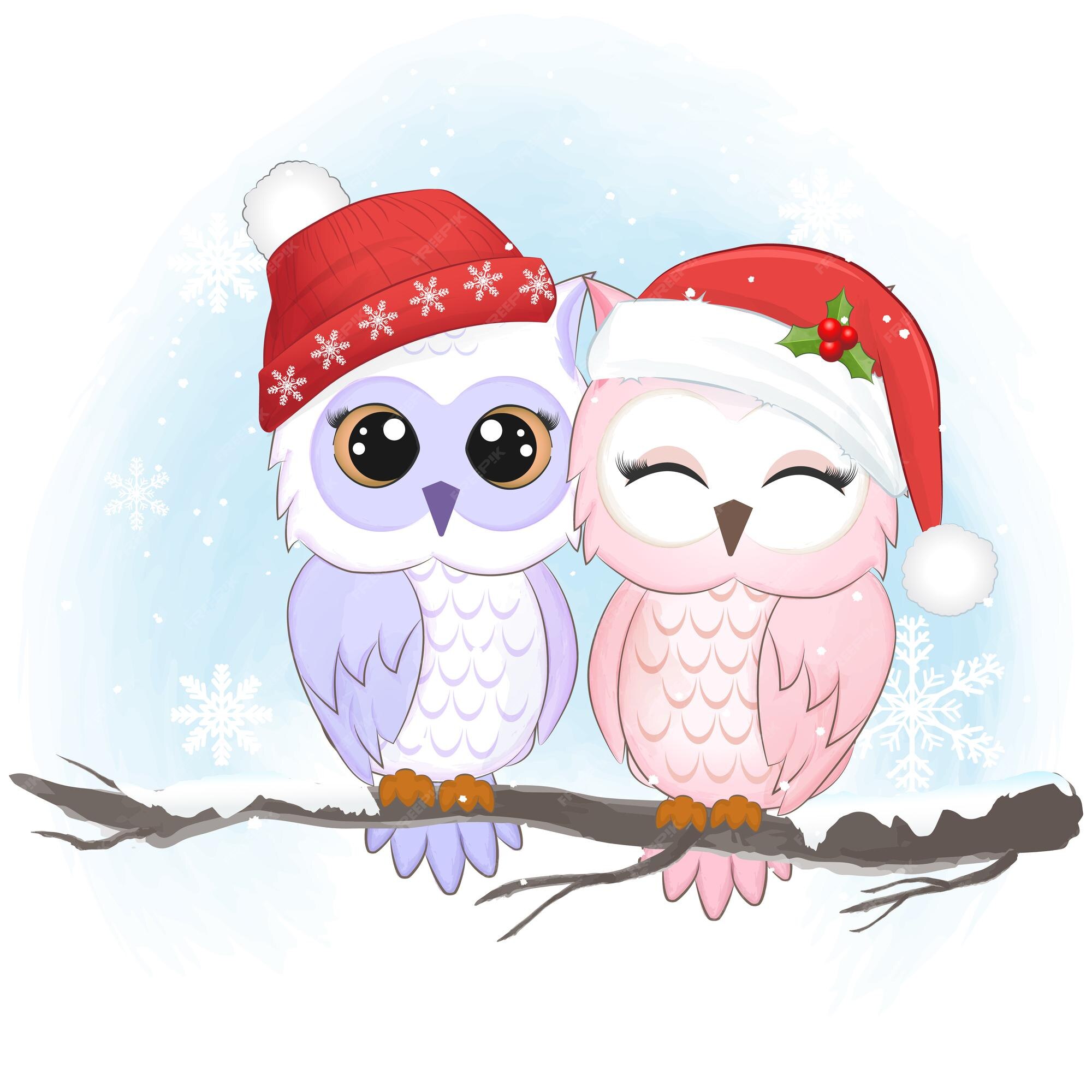 Premium Vector | Cute couple owl in winter christmas season illustration Premium Vector | Cute couple owl in winter christmas season illustration