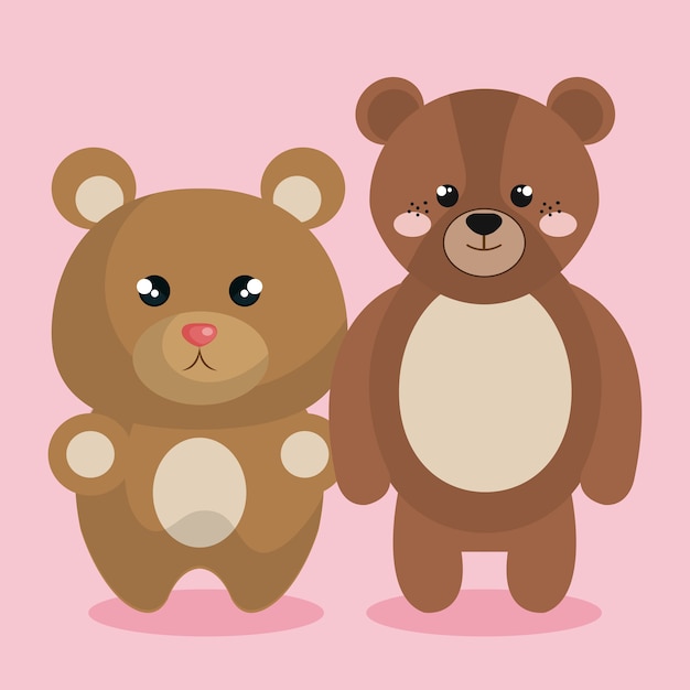 cute couple stuffed animals vector illustration design