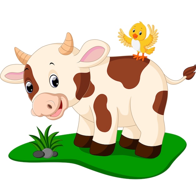 Cute cow with bird