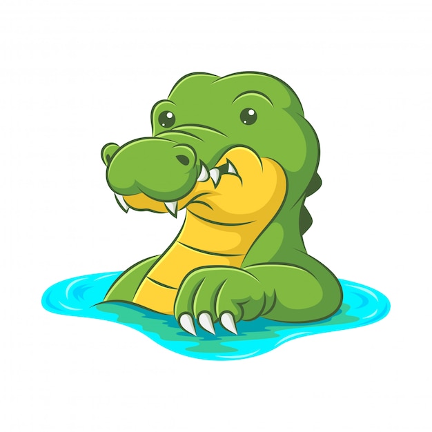 Cute crocodile that is soaking in the river