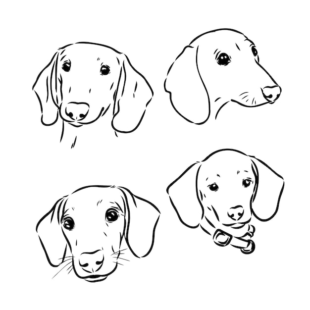 フリーハンド描画イラストスタイルでさまざまなポーズでかわいいダックスフント犬の落書きコレクション