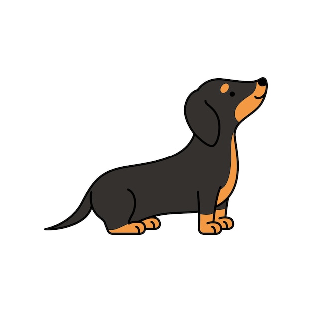 Vector cute dachshund dog vector illustration