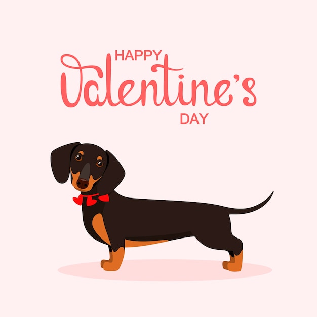 Cute dachshund with hearts A greeting card Happy Valentines Day Cartoon design