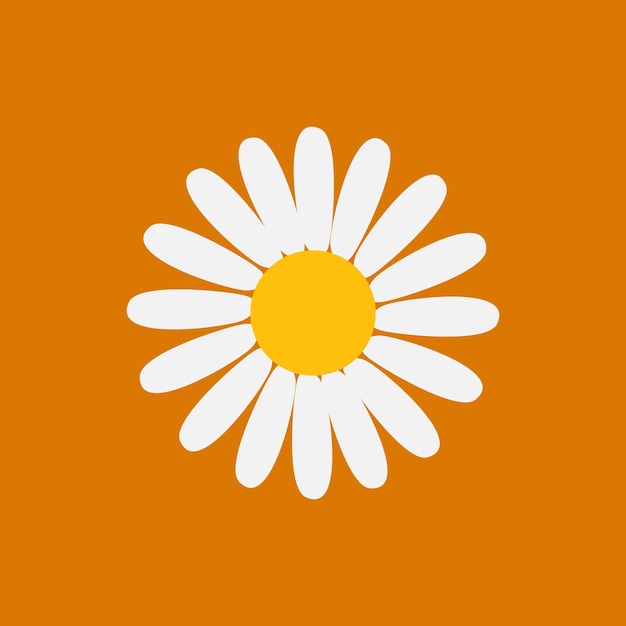 cute daisy vector in orange background