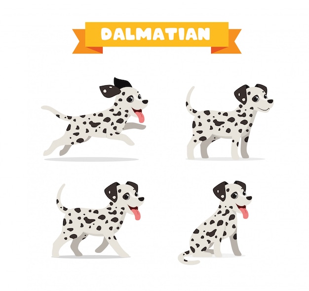 Simpatico animale domestico cane dalmata con molti set di bundle di posa