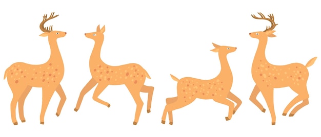 Carino cervo pezzato piatto illustrazioni vettoriali disegnate a mano. collezione colorata in stile cartone animato. animali invernali astratti. set di femmine e maschi.