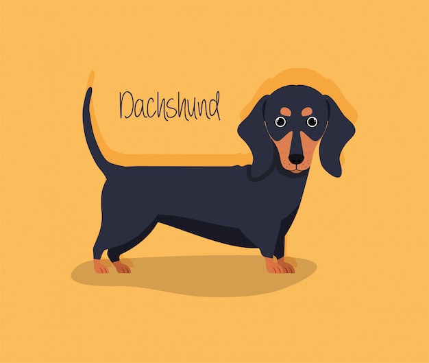 Vector cute dashhund dog pet character