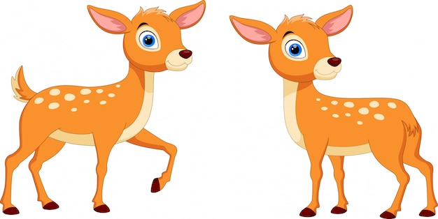 Cute deer cartoon