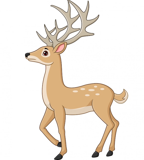 Cute deer cartoon