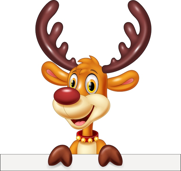 Cute deer holding blank sign Isolated on white background