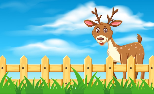 Cute deer in landscape scene,