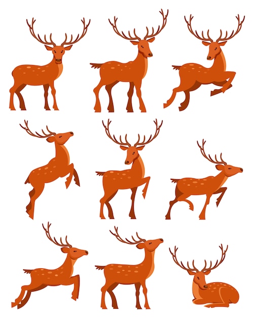 Cute deer set, spotted deers in different poses cartoon   Illustrations