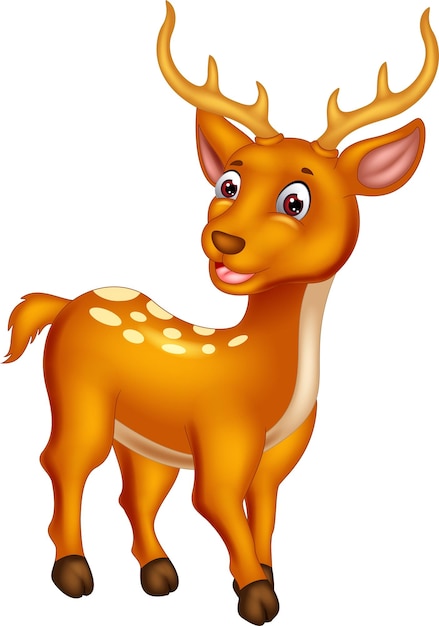 cute deer