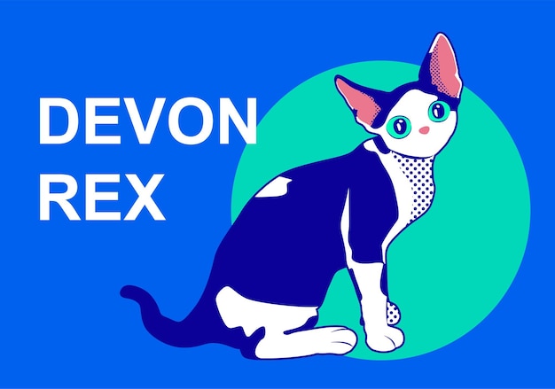 Cute devon rex vector illustration