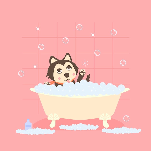 Cute dog in bath Illustration for pet salon grooming salon Dog grooming