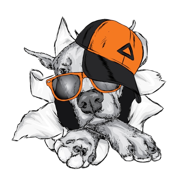 Vector cute dog in cap and glasses. vector illustration.