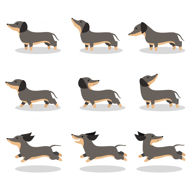 Cute dog dachshund vector illustration set