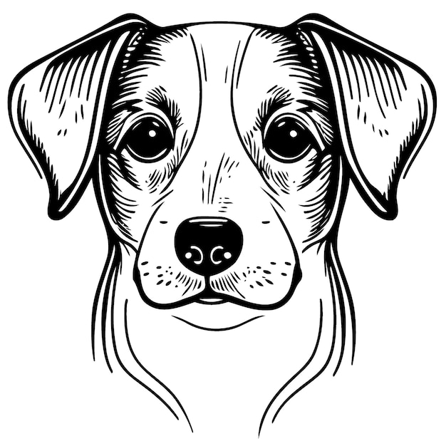 Vector cute dog domestic animal head