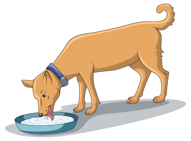 Cute dog drinking milk from a plate