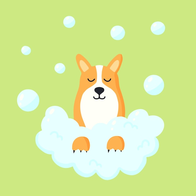 Симпатичная собака в пене Корги с пузырьками по уходу за животными Векторная иллюстрация в мультяшном стиле