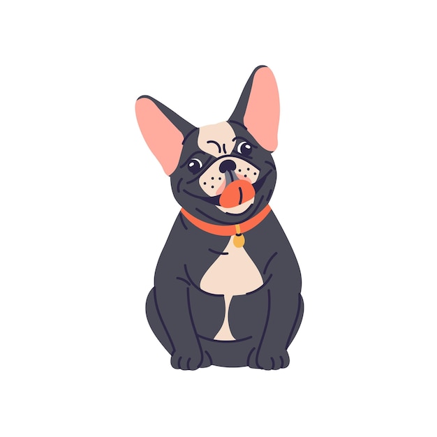 Cute dog of French bulldog breed Funny adorable puppy Happy joyful doggy sitting in collar Lovely joyous smiling pup with tongue out Flat vector illustration isolated on white background