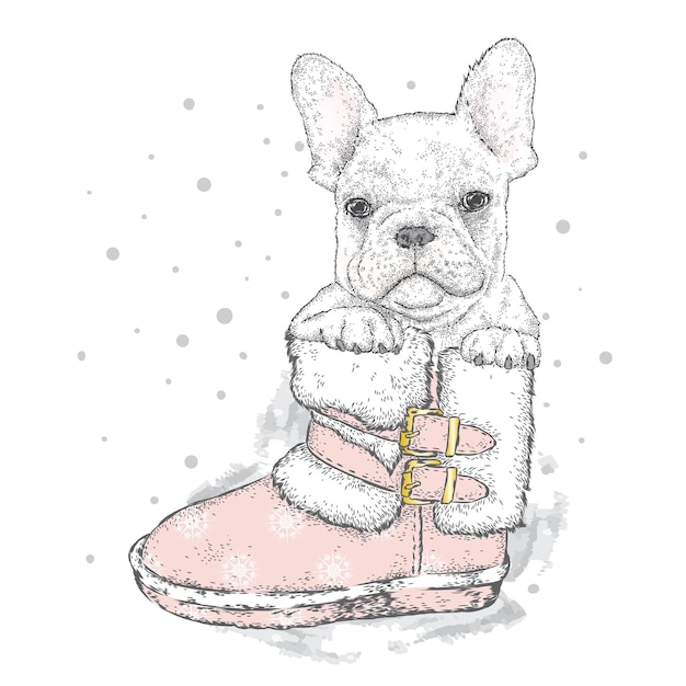 겨울과 새해 옷을 입은 귀여운 강아지