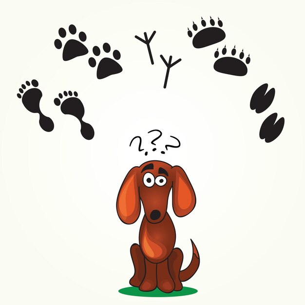 Vector cute dog's game -help dog find his  footprint