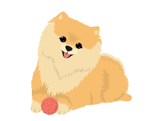 Cute dog spitz with a ball Vector flat illustrations