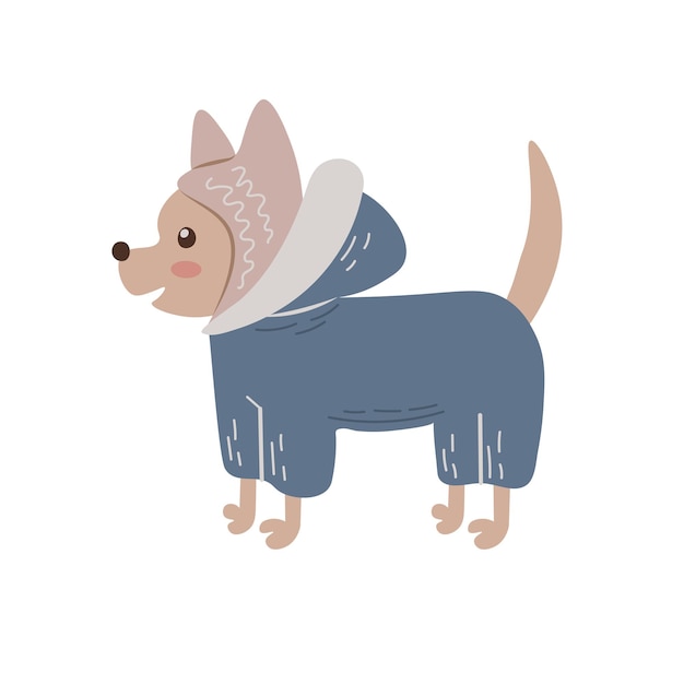 Cute dog in winter clothes