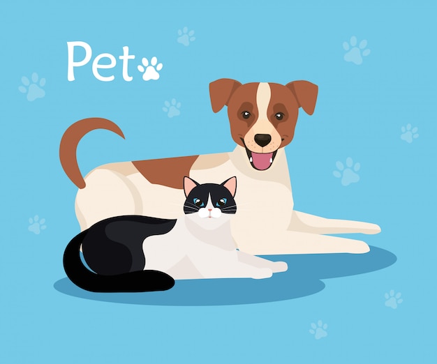 cute dog with cat in background blue with pawprints