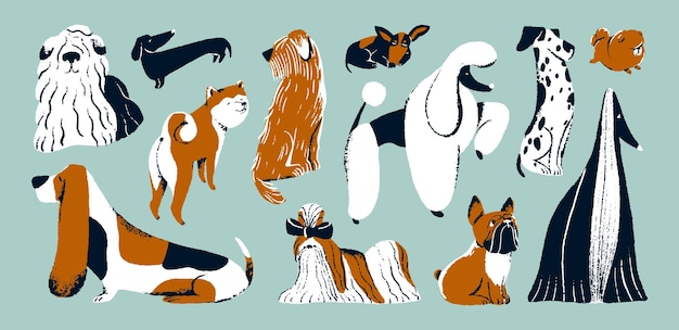 Vector cute dogs set funny doggies puppies of different breeds canine animals pets french bulldog akita dachshund dalmatian royal poodle and shih tzu isolated colored flat vector illustrations