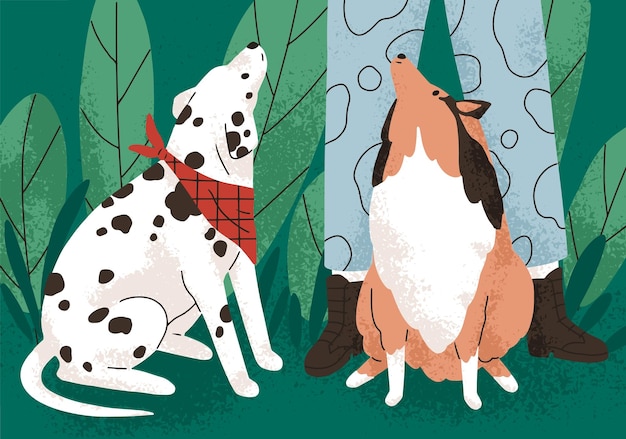 Cute dogs of sheltie and dalmatian breeds sitting, begging smth at pet owners legs. doggies looking up at person during stroll, walk in nature, park. canine animals outdoors. flat vector illustration.