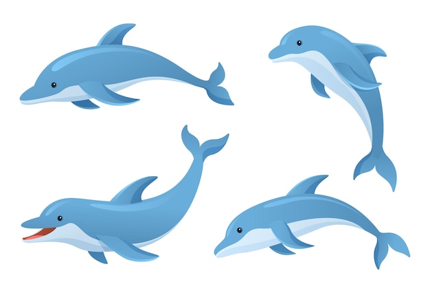 Vector cute dolphins in various poses cartoon illustration