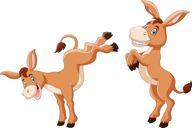 Cute donkey cartoon a smile