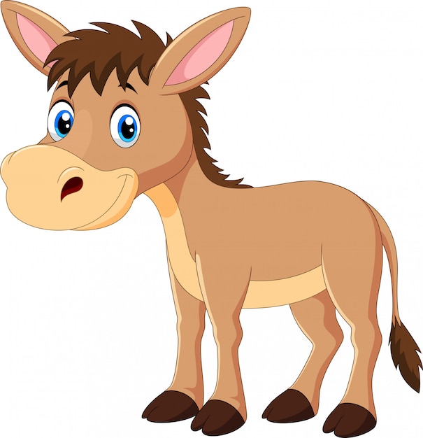 Cute donkey cartoon