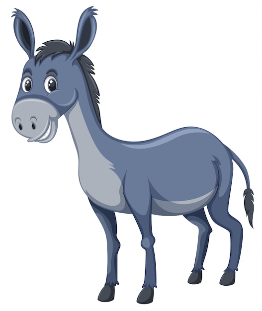 Vector a cute donkey on white background