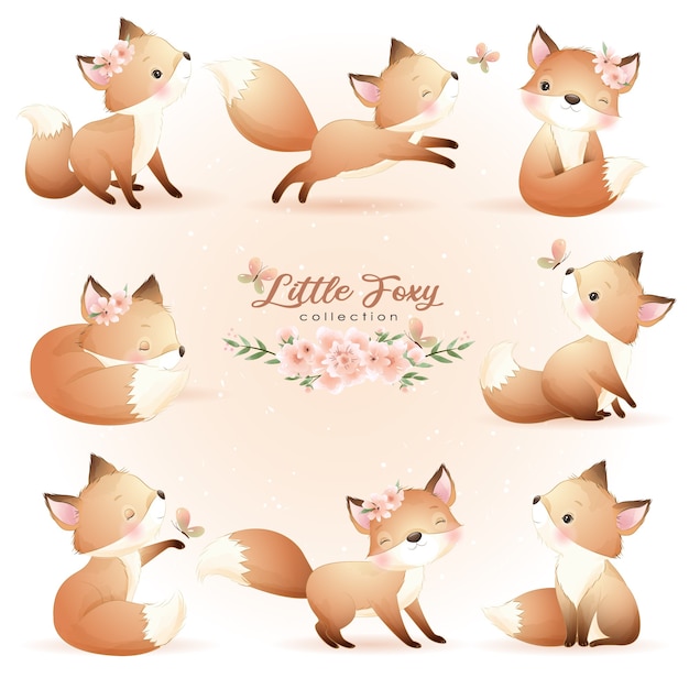 Cute doodle foxy poses with floral illustration