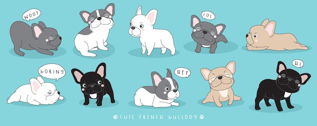 Vector cute doodle french bulldog poses collection