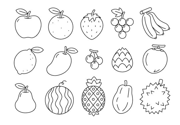 Vector cute doodle fruit cartoon isolated icons and objects fruits line icons set