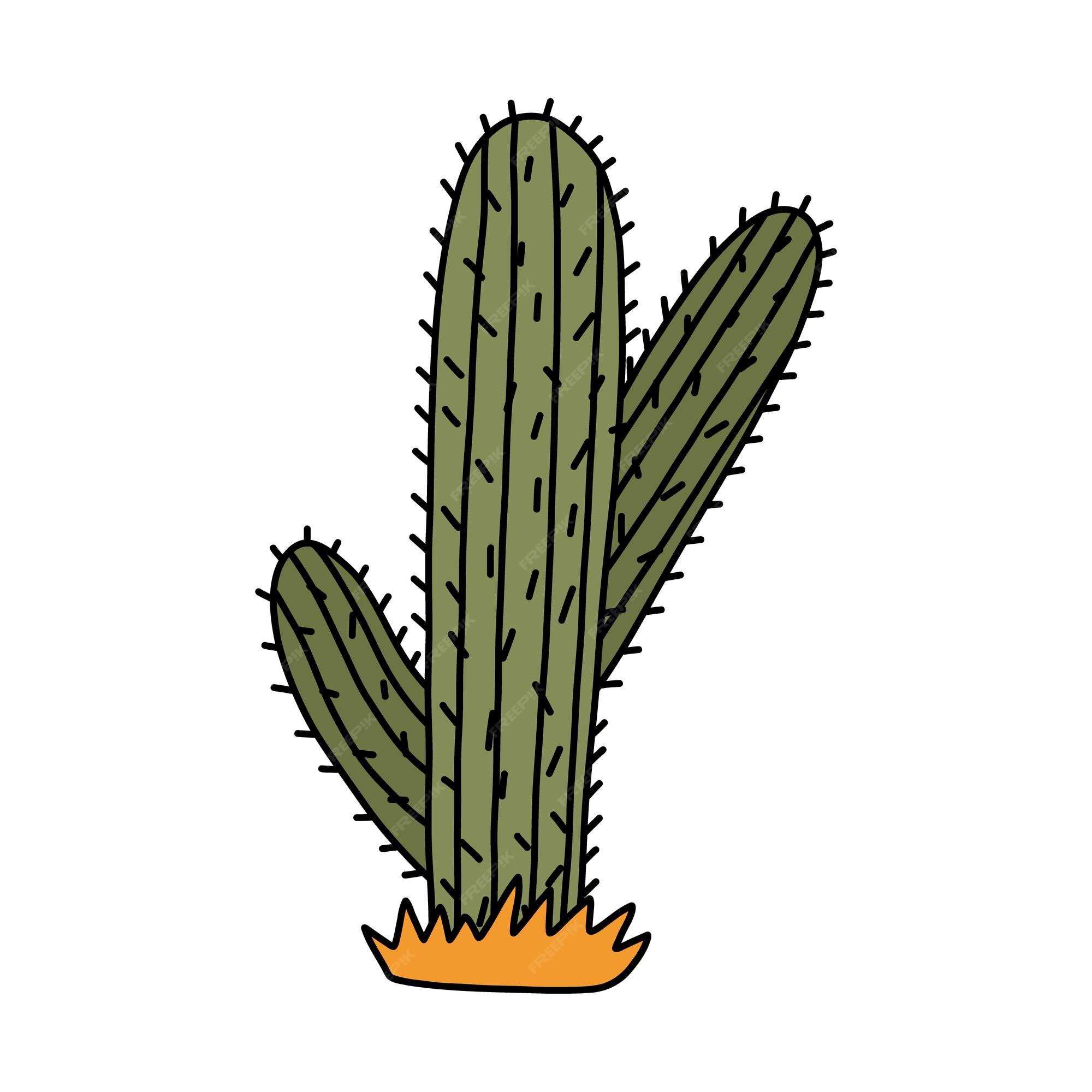 🌵aesthetic cartoon profile pictures 🌻 