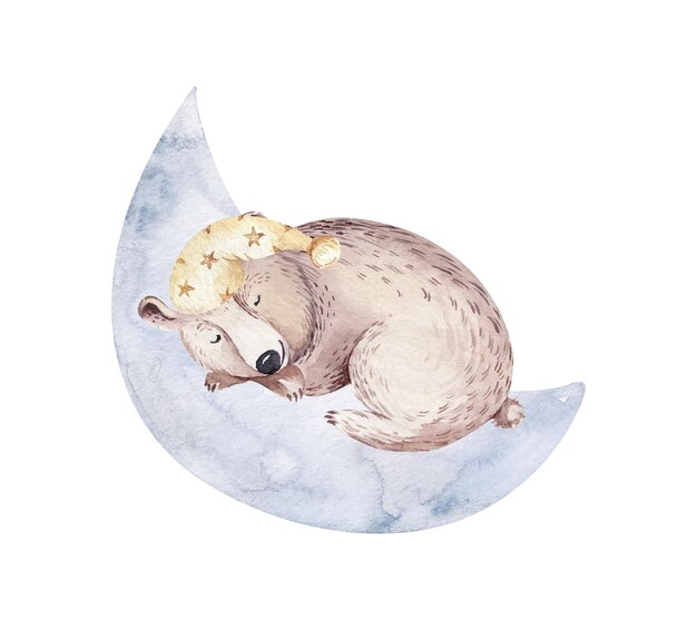 Vector cute dreaming cartoon bear animal hand drawn watercolor illustration