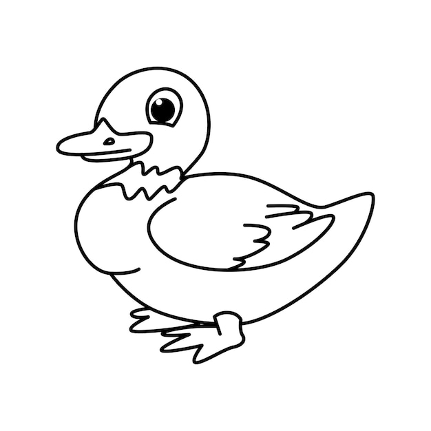 Cute duck cartoon characters vector illustration For kids coloring book