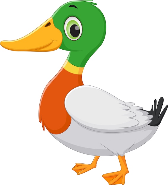 Vector cute duck cartoon